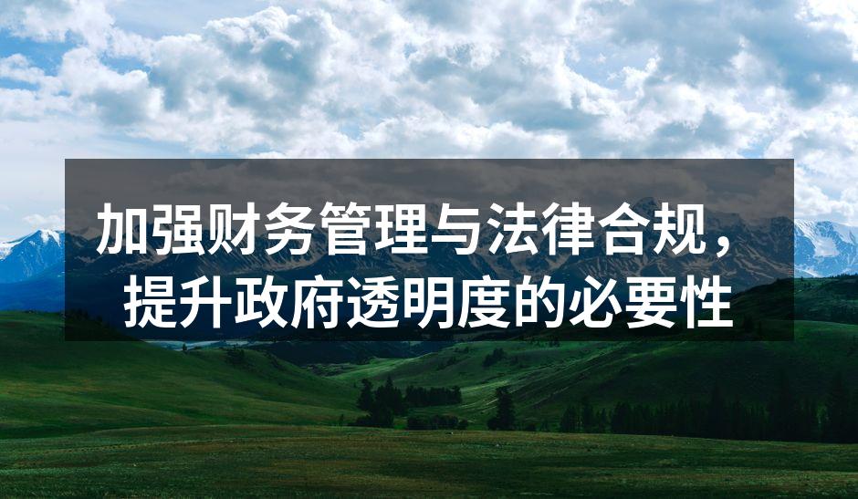加强财务管理与法律合规，提升政府透明度的